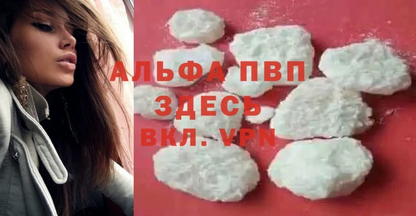 стафф Надым