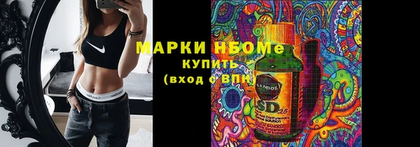 стафф Надым