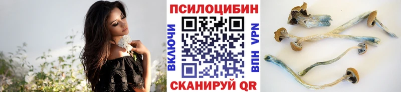 ОМГ ОМГ как войти  Калязин  Галлюциногенные грибы прущие грибы 